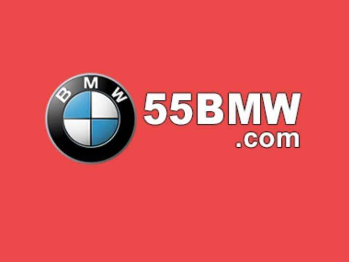 55BMW App login