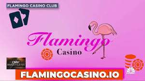 Flamingo Pro